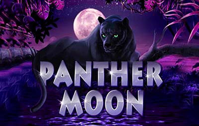 Panther Moon